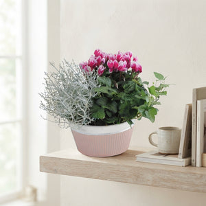 Zinc Ornamental Plant Arrangement – 18cm Pot