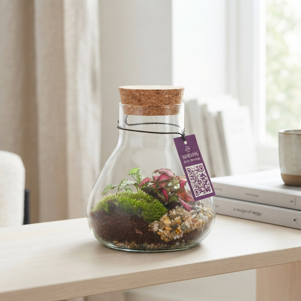 Small Erlenmeyer Glass Terrarium – 10cm