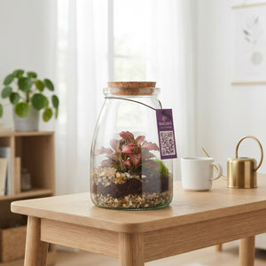 Glass Terrarium Arrangement – 9cm