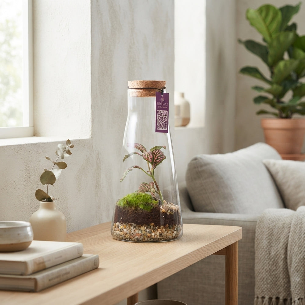 Kalypso Glass Terrarium Arrangement – 9cm