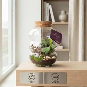 Medium Pluto Glass Terrarium with LED – 17cm