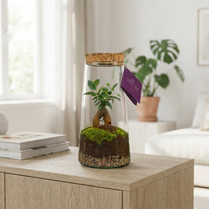 Triton Glass Terrarium Arrangement – 17cm