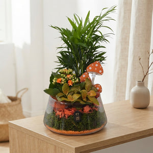 Autumn Glass Plant Arrangement – 18cm Bowl