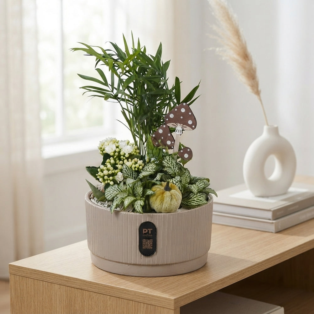 Autumn Indoor Plant Arrangement – 19cm Ceramic Dish