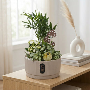 Autumn Indoor Plant Arrangement – 19cm Ceramic Dish
