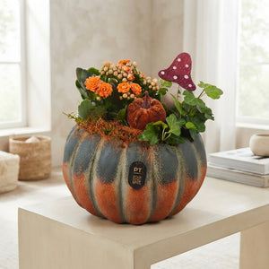 Autumn Indoor Plant Arrangement – 17cm Concrete Pot