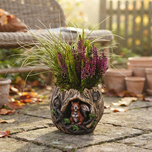 Autumn Outdoor Plant Arrangement – 17cm Ornamental Pot