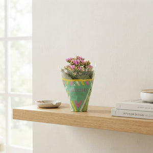 Pink Double Kalanchoe – 8cm Pot