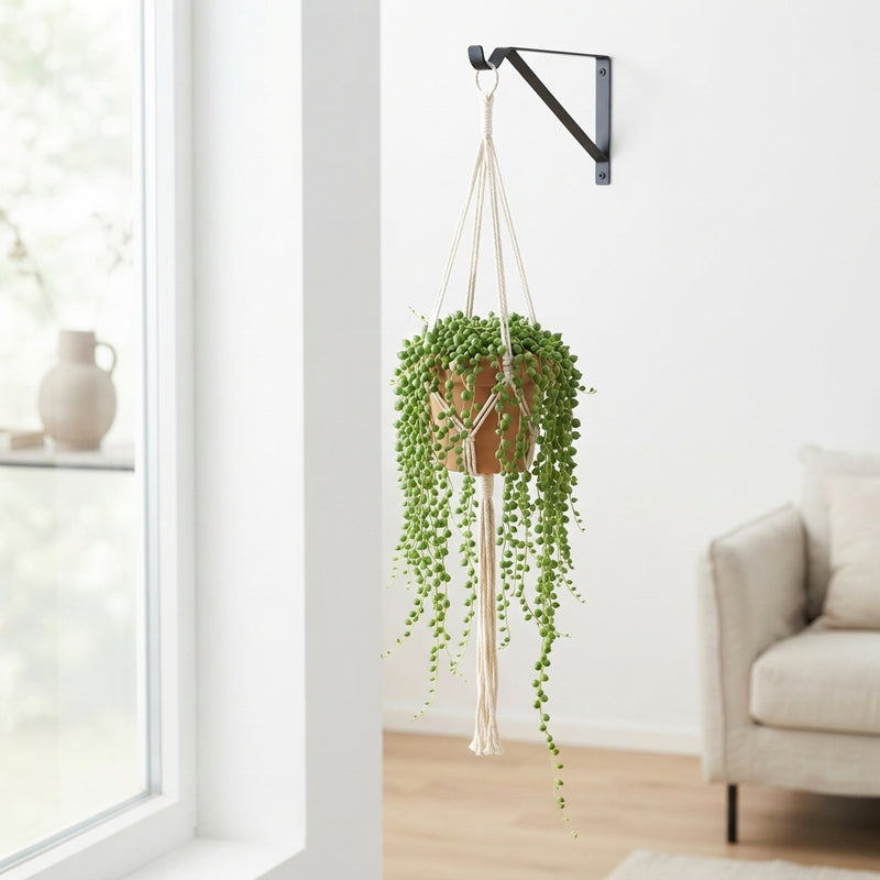 String of Pearls (Senecio rowleyanus) – 14cm Hanging Pot