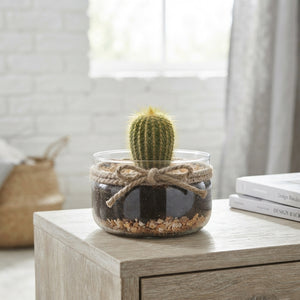 Mixed Cactus Arrangement in Glass – 15cm Pot