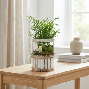 Round Wooden Arrangement – 15cm Pot