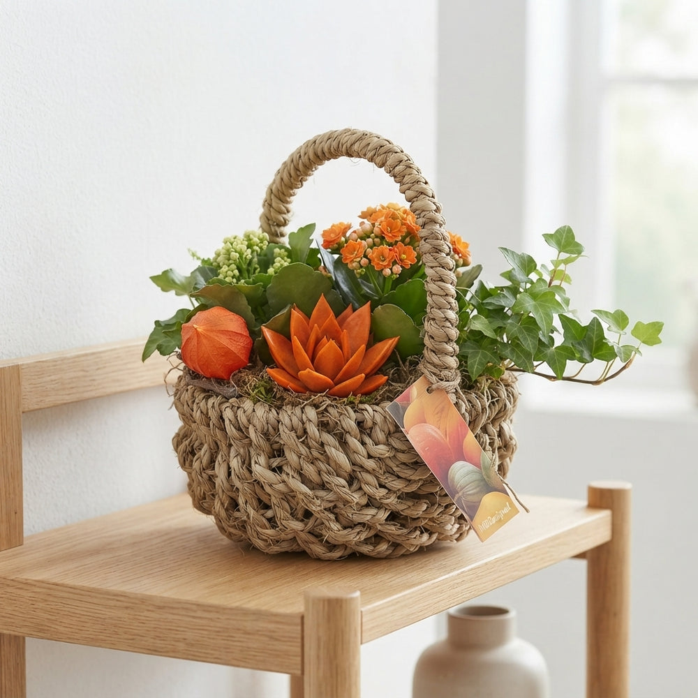 Orange Indoor Hanging Basket Arrangement – 24cm