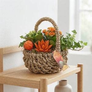 Orange Indoor Hanging Basket Arrangement – 24cm