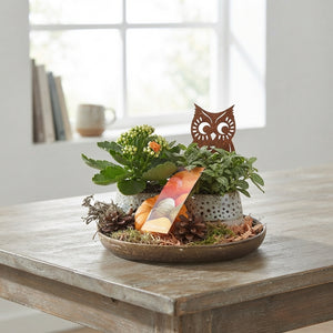 Autumn Plant Arrangement with Ceramic Tray – 20cm