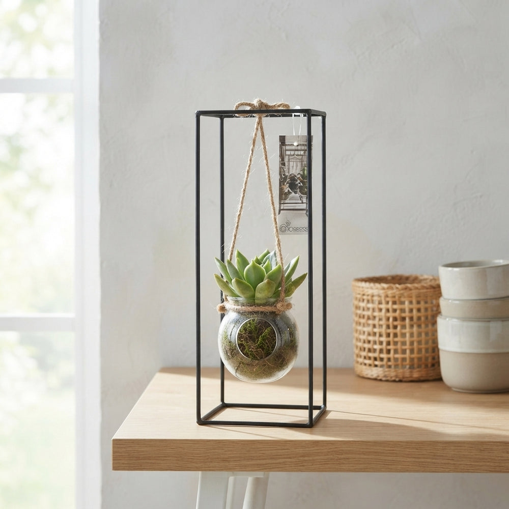Black Metal Hanging Plant Arrangement – 11cm