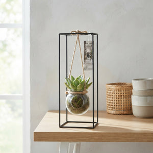 Black Metal Hanging Plant Arrangement – 11cm