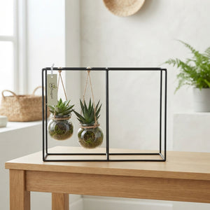 Black Metal Hanging Plant Arrangement – 20cm