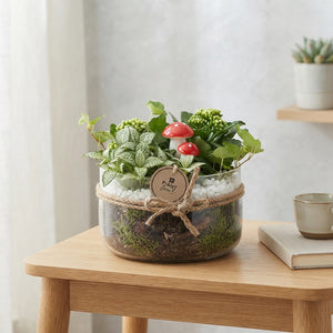 Orange and White Plant Arrangement – 18cm Glass Bowl