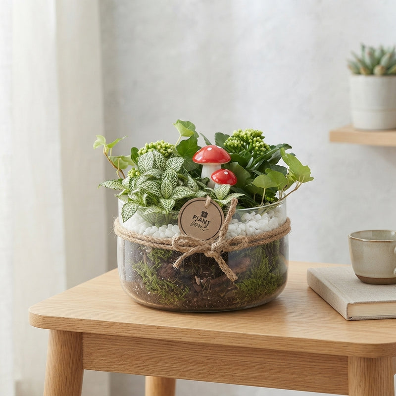 Orange and White Plant Arrangement – 18cm Glass Bowl