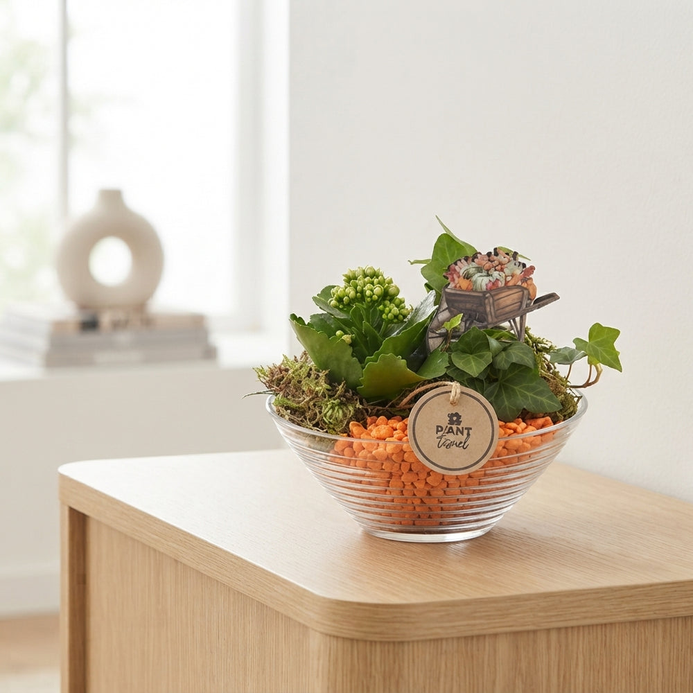 Orange and White Ribbed Glass Plant Arrangement – 18cm