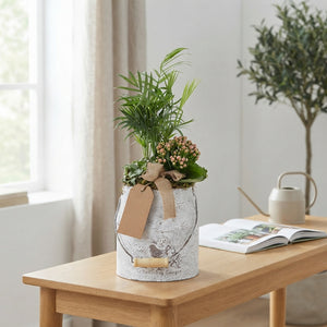 White and Pink Flower Arrangement in Zinc Milk Churn – 18cm