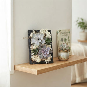 Rootless Succulent Photo Frame Arrangement – 12cm Pot