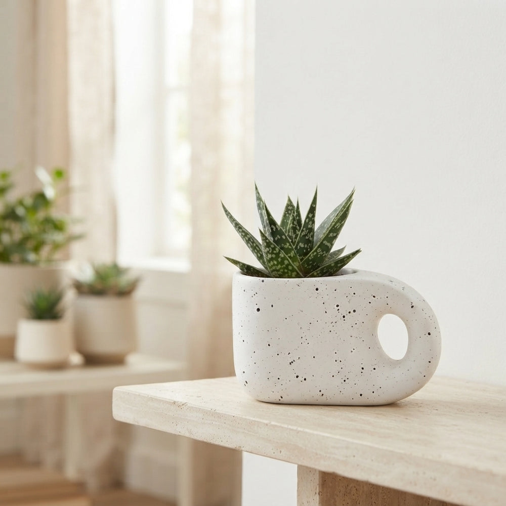 Truly Succulent Arrangement – 15cm Pebble Pot
