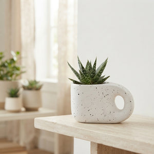 Truly Succulent Arrangement – 15cm Pebble Pot