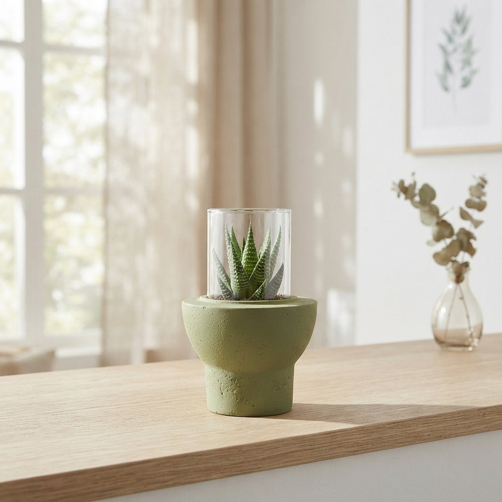 Mixed Succulent Arrangement in Ceramic Pot – 10cm