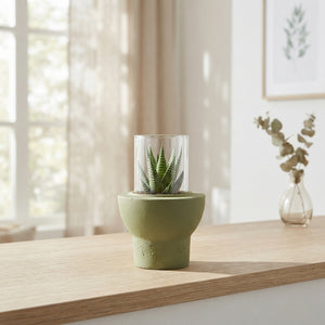 Mixed Succulent Arrangement in Ceramic Pot – 10cm