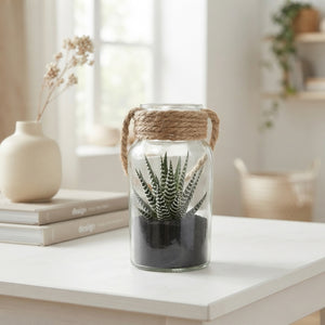 Haworthia Arrangement in Glass Bottle – 6cm
