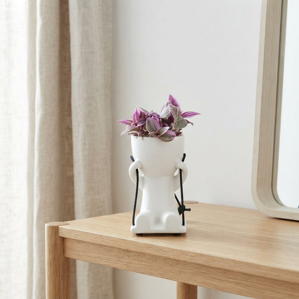 Lazy Swing Plant Arrangement – 14cm Ceramic Pot