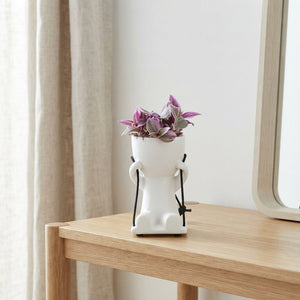 Lazy Swing Plant Arrangement – 14cm Ceramic Pot