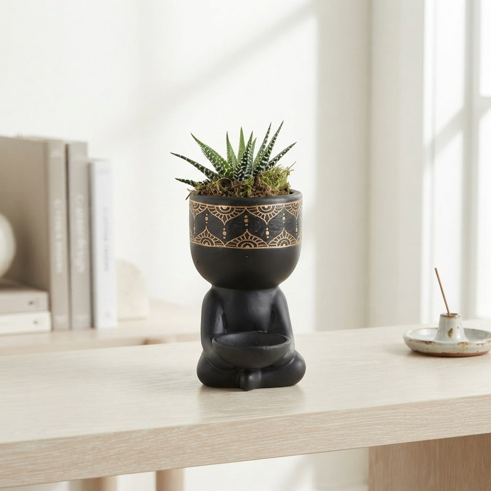 Haworthia ‘Spiritual Guy’ Arrangement – 14cm Ceramic Pot
