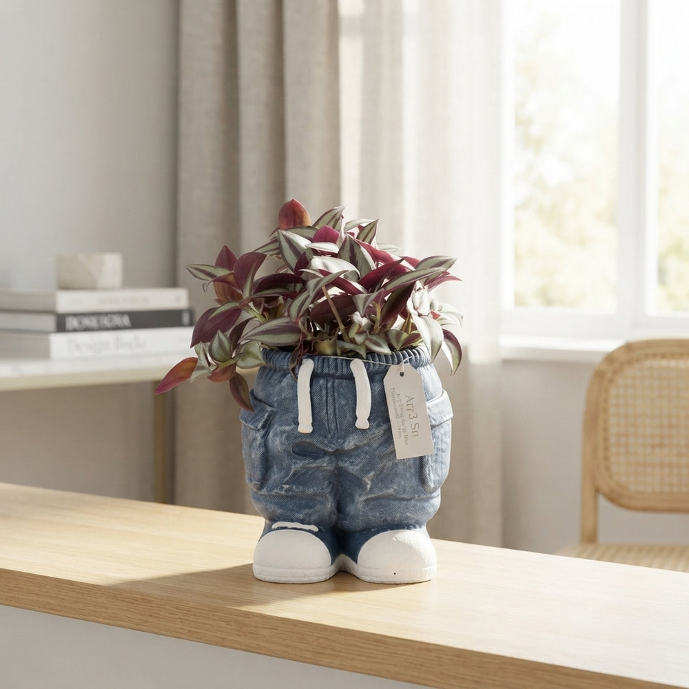 Blue Tradescantia Arrangement – 14cm Ceramic Pot