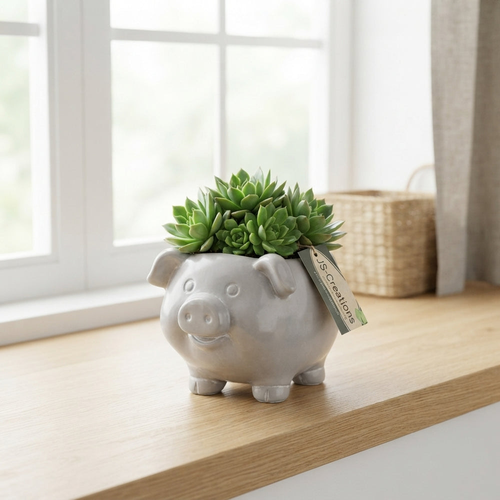 Pig-Shaped Ceramic Plant Arrangement – 12cm Pot