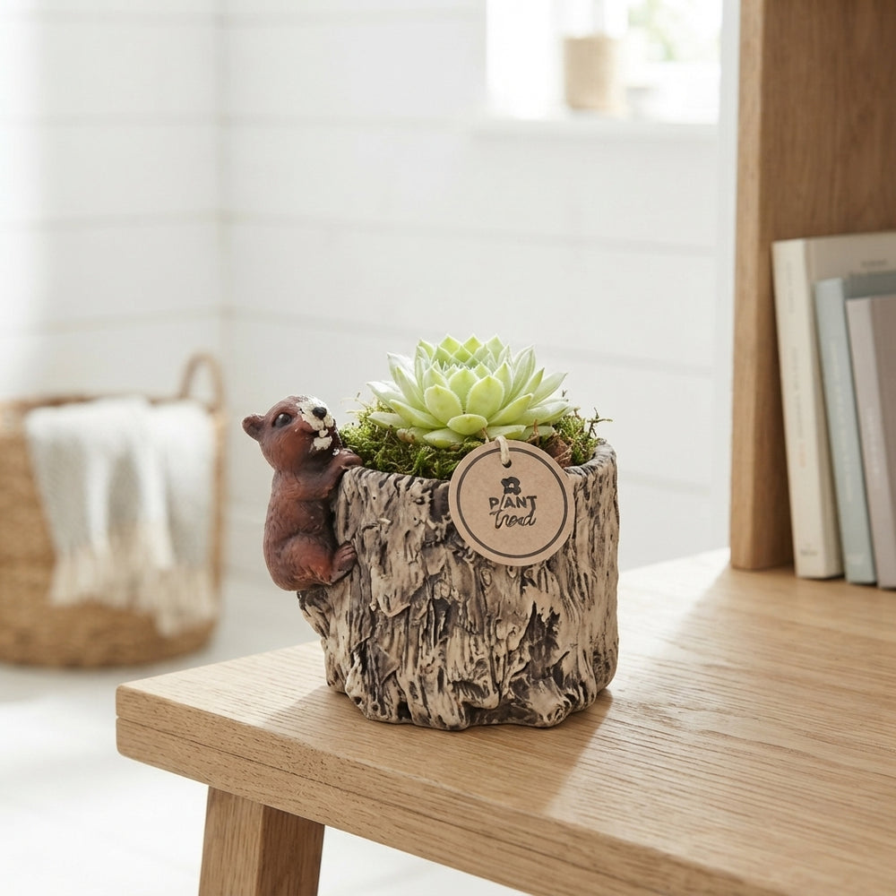 Ceramic Woodland Arrangement with Tree Stump and Squirrel – 16cm Pot
