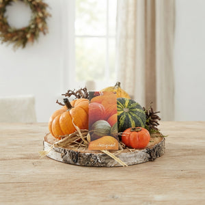 Birch Slice Decorative Plant Arrangement – 18cm