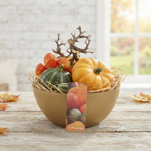 Goldie Decorative Arrangement – 20cm Bowl