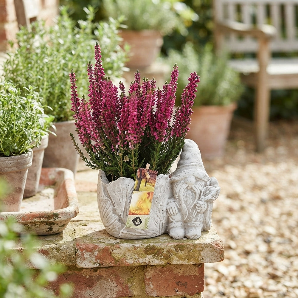 Outdoor Cement Gnome Arrangement – 18cm Dish