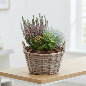 Outdoor Arrangement in Brown Wicker Basket – 24cm