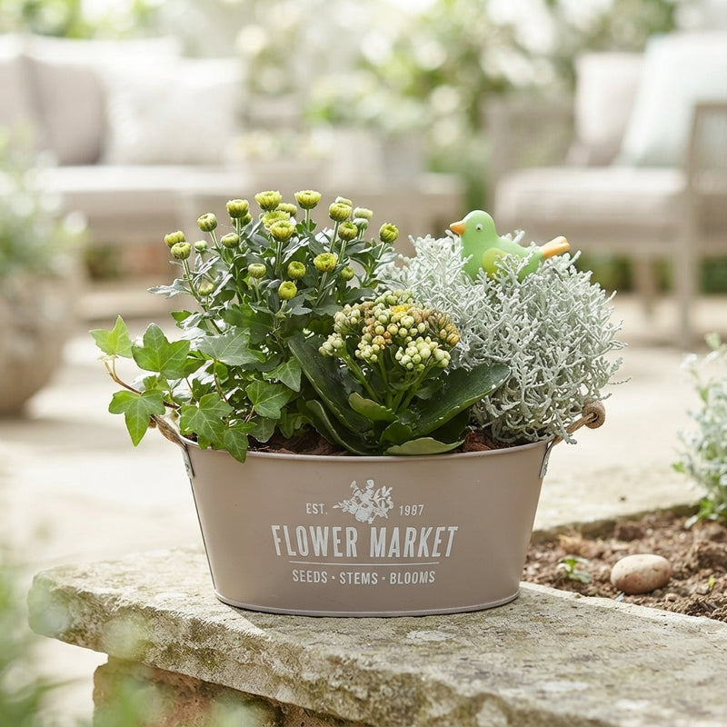 Outdoor Flower Arrangement in Taupe Zinc Pot – 26cm