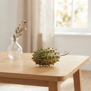Decorative Brown Cucumis Fruit – Pack of 4