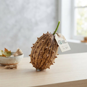 Decorative Brown Cucumis Fruit – Pack of 4