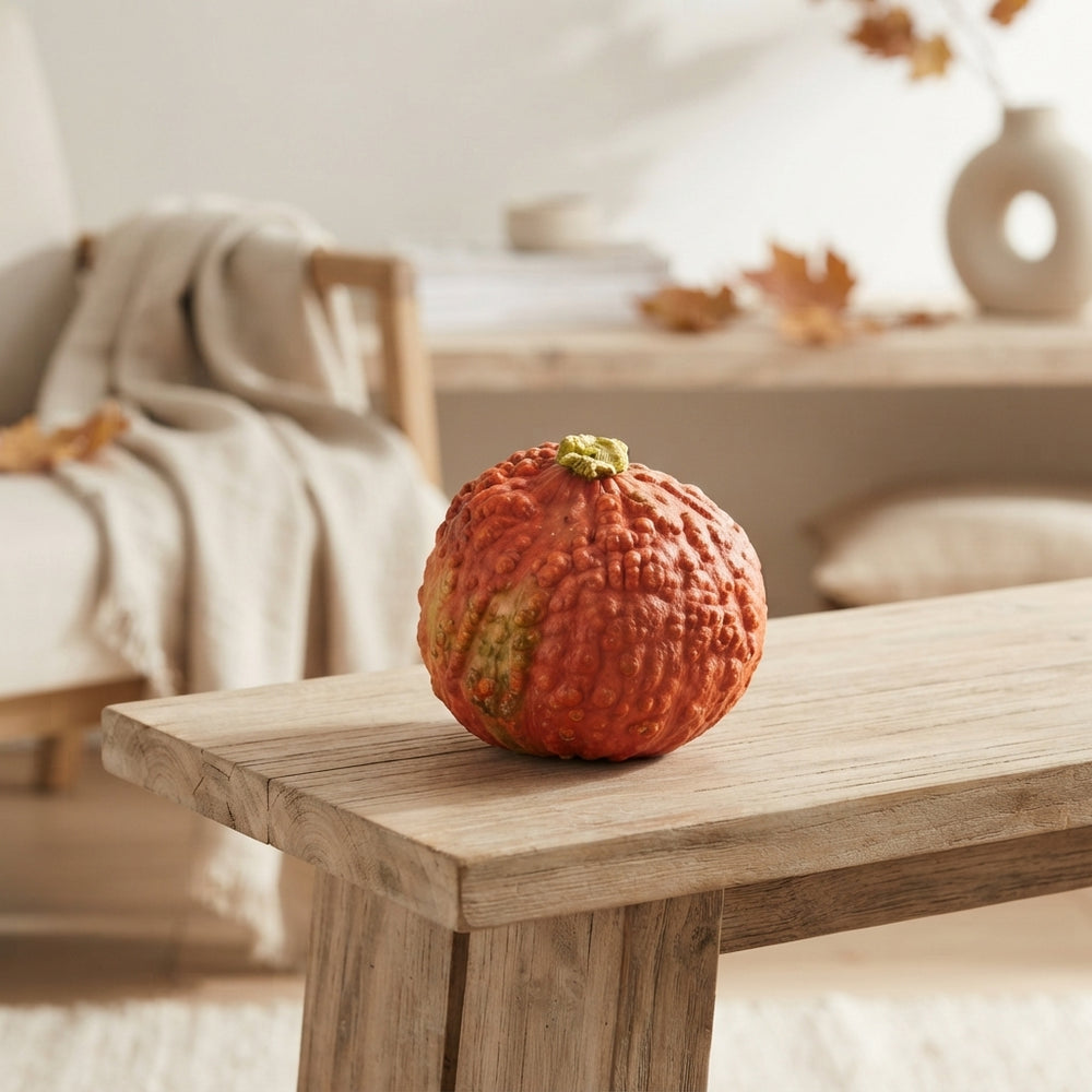 Ornamental Pumpkin (Cucurbita) – Decorative Fruit