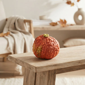 Ornamental Pumpkin (Cucurbita) – Decorative Fruit