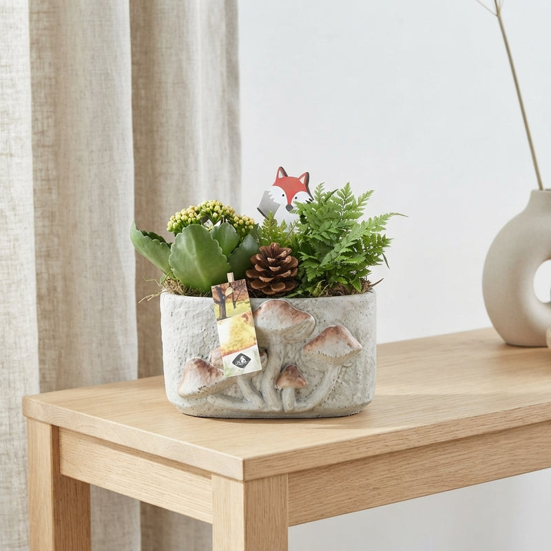 Oval Concrete Mushroom Arrangement – 20cm