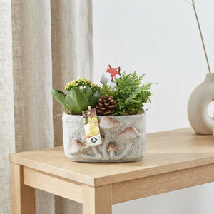 Oval Concrete Mushroom Arrangement – 20cm