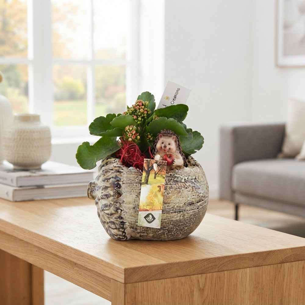Decorative Lying Oak Branch Arrangement – 16cm Pot