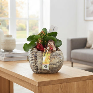 Decorative Lying Oak Branch Arrangement – 16cm Pot